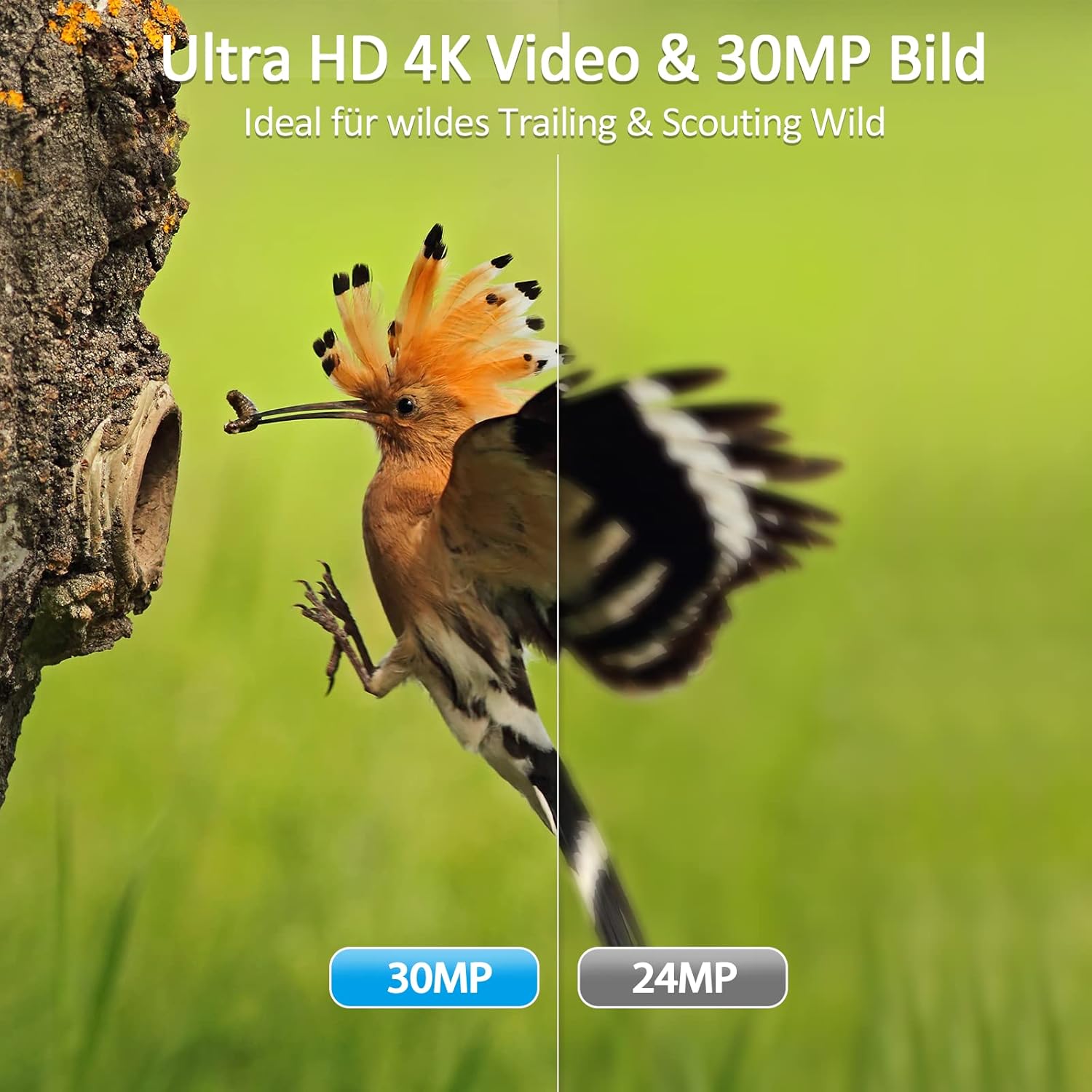 WiFi Trail Camera,4K 30MP Wireless Bluetooth Wildlife Camera with 64GB Card,Fast 0.2s Motion Activated 120°Angle Game Camera for Hunting