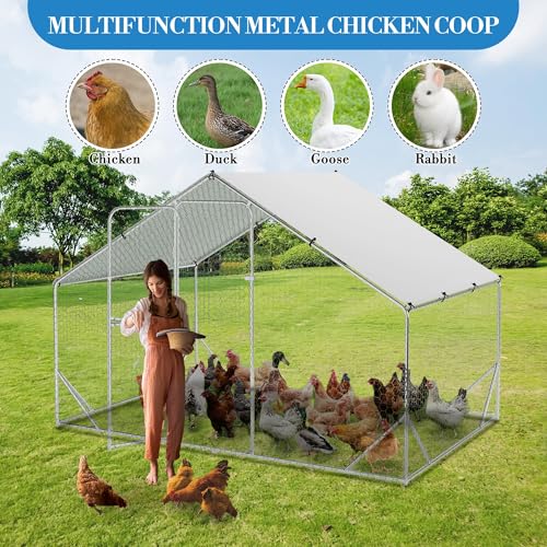 Large Metal Chicken Coop, Walk-in Poultry Cage