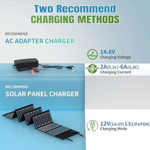 12V 100Ah LiFePO4 Battery, Rechargeabel Deep Cycle Lithium Batteries, 100A BMS with Low-Temp Protection, Perfect for RV, Solar, Boat, Marine