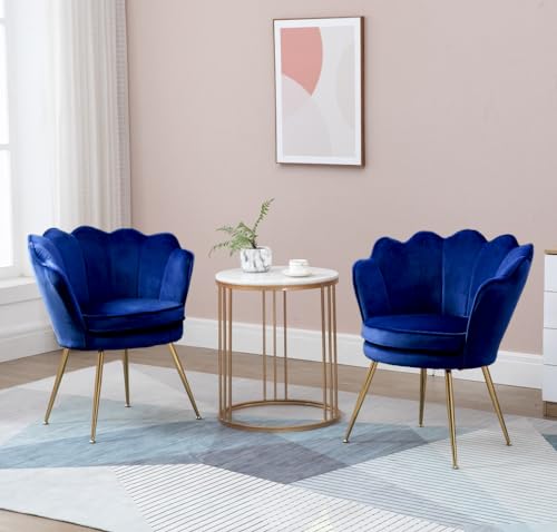 Velvet Accent Chairs Set of 2 for Living Room, Mid Century Modern Arm Chair, Comfy Vanity Chair for Makeup Room