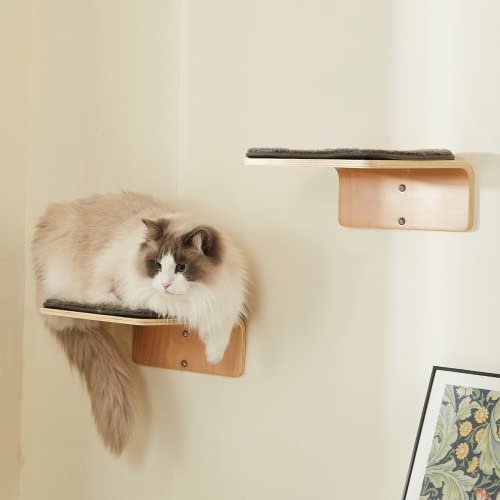 Cat Wall Shelf with Two Steps - Wave Cat Shelves and Perches for Wall - Wall Mounted Cats Furniture for Sleeping, Playing, Climbing, and Lounging
