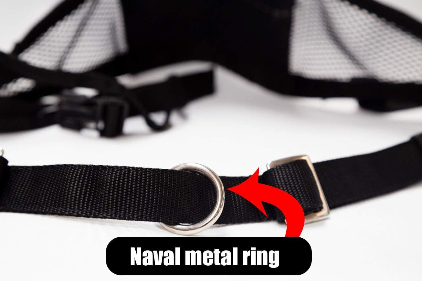 Neewa Canicross & Skijoring Belt to Run or Walk with Your Dog with Dog Running Leash Hands Free 2 Dogs or One