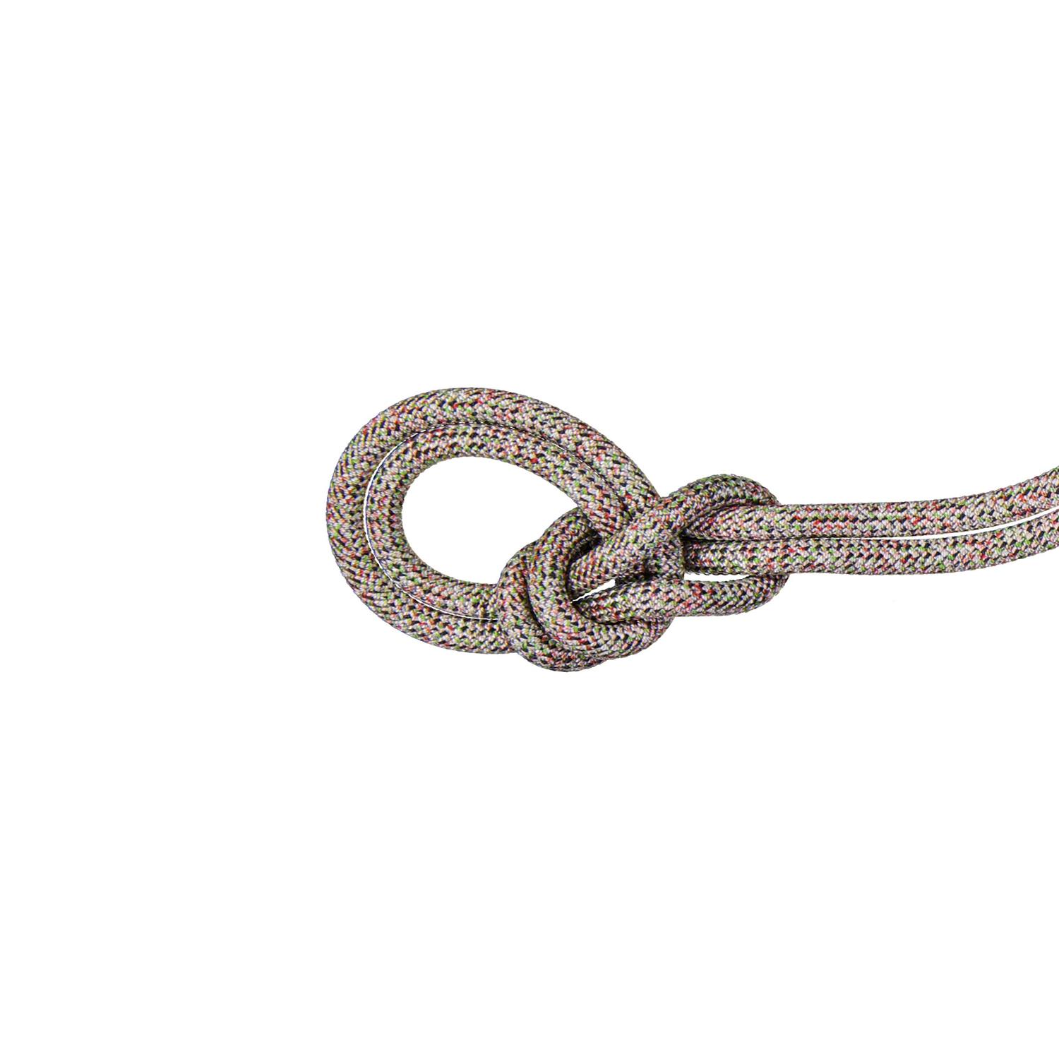 Mammut 9.5 Crag We Care Classic Rope - Sports Supplies Online Store