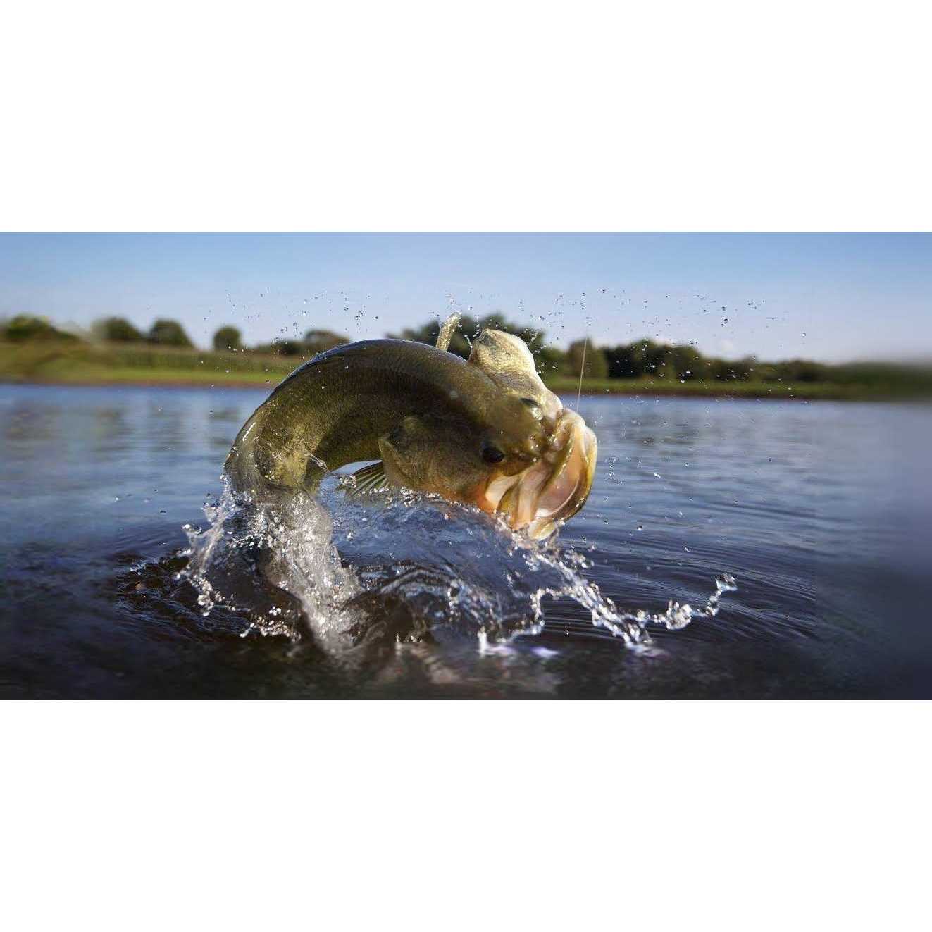 Purina Game Fish Chow - Pet Supplies online store