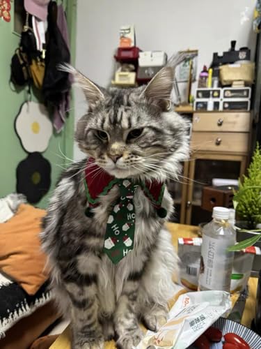 Christmas Dog Scarf Bandana Bow Tie, Adjustable 14-17 Inch Pet Neckerchief for Small Medium Dogs & Cats