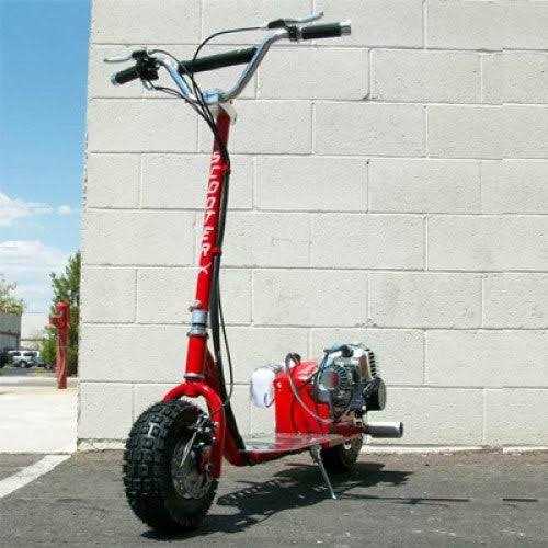 ScooterX Dirt Dog 49cc Scooter - Sports Supplies Online Store