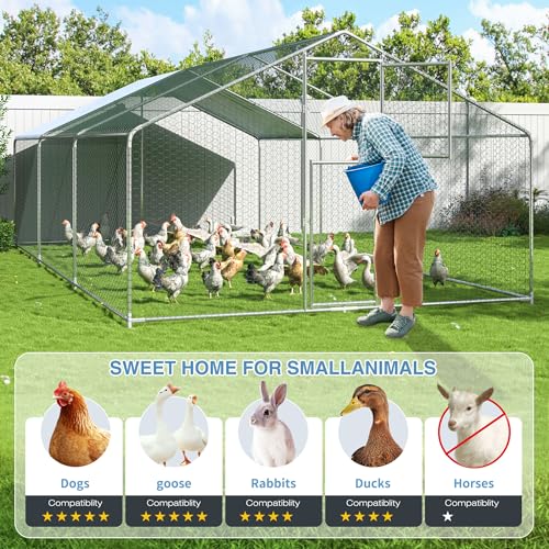 Polar Aurora Metal Chicken Coop, Large Outdoor Chicken Pen, Walk-in Chicken Run for 6-20 Chickens