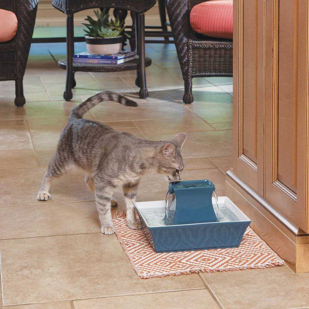 PetSafe Drinkwell Pagoda Fountain
