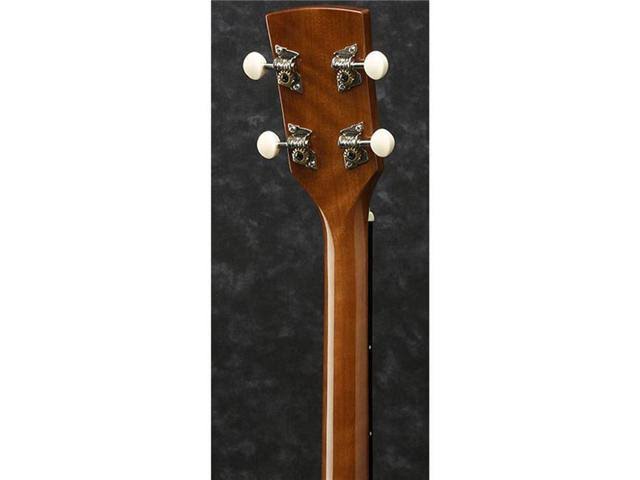 Ibanez PFT2 Performance Tenor Acoustic Guitar Natural