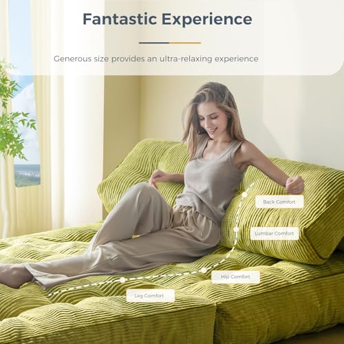 MAXYOYO Folding Sofa Bed, Convertible Sleeper Chair with Pillow Foldable Mattress with Back Support