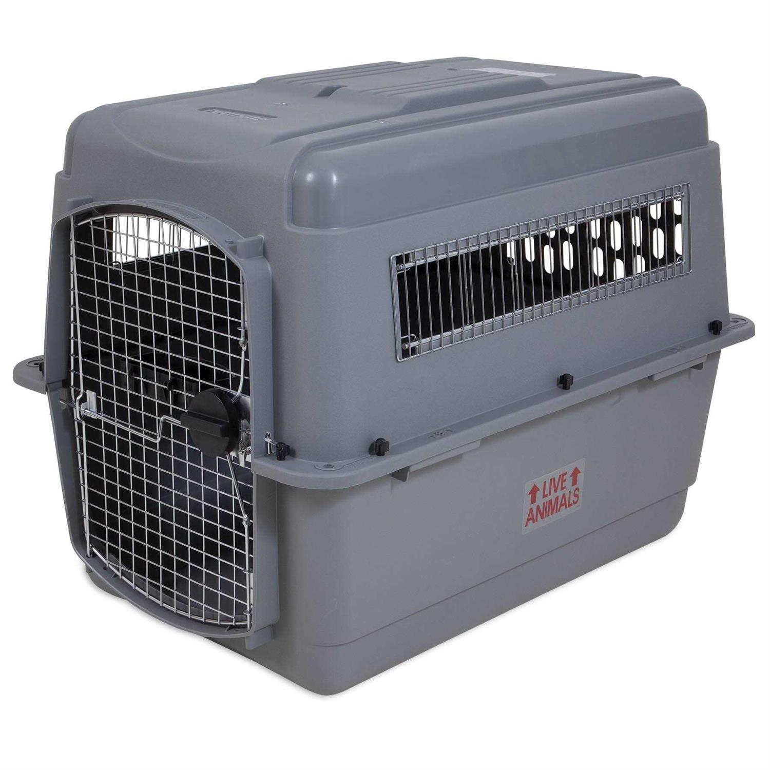 Petmate Sky Kennel Large - Pet Supplies online store