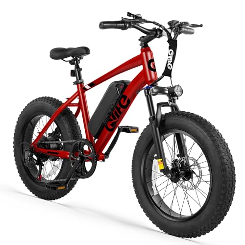 Racer Fat tire Electric Bike for Adults - 28MPH Mountain Ebike with Peak 1200W Brushless Motor, 499Wh Removable Battery