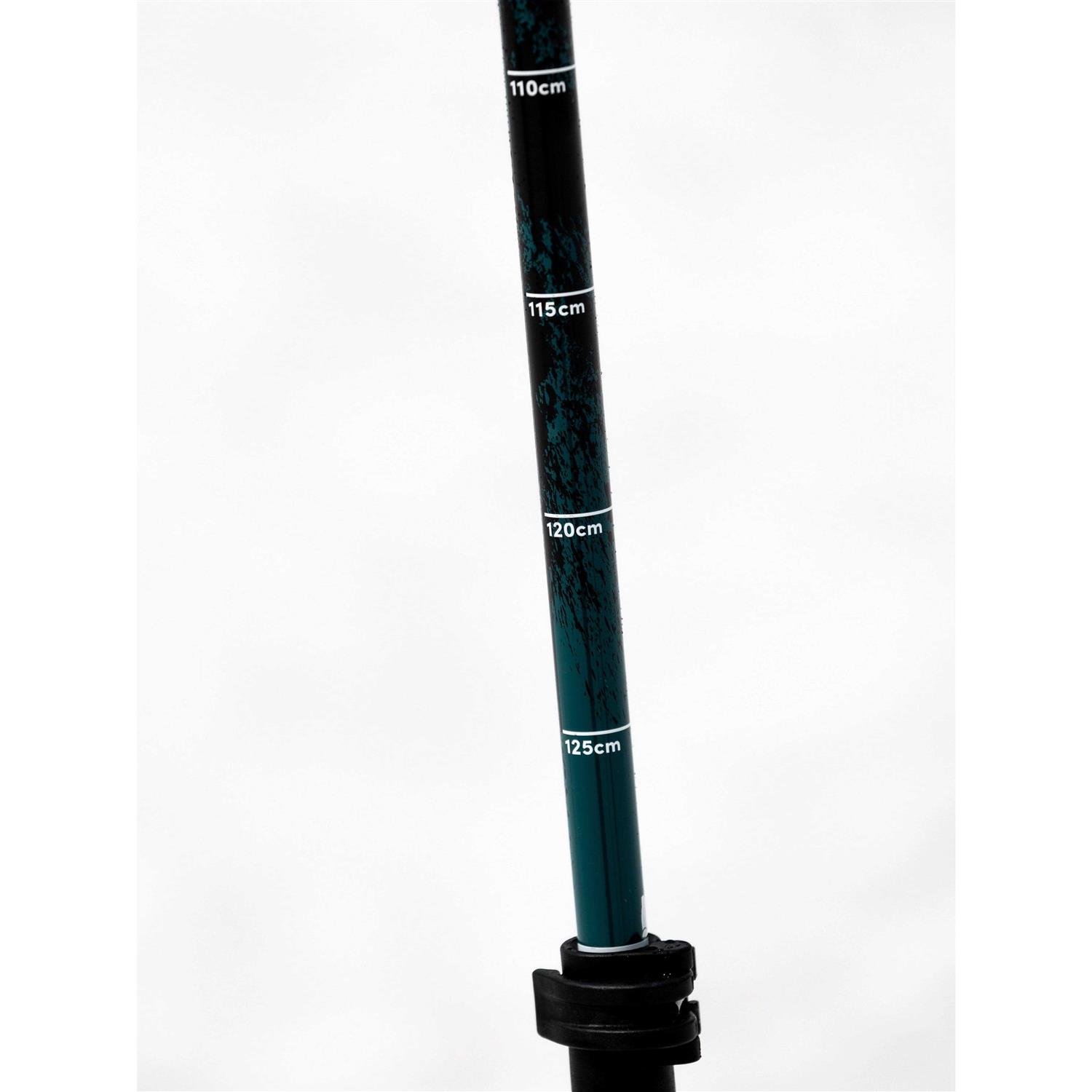 Line Paintbrush Ski Poles 2024 - Sports Supplies Online Store
