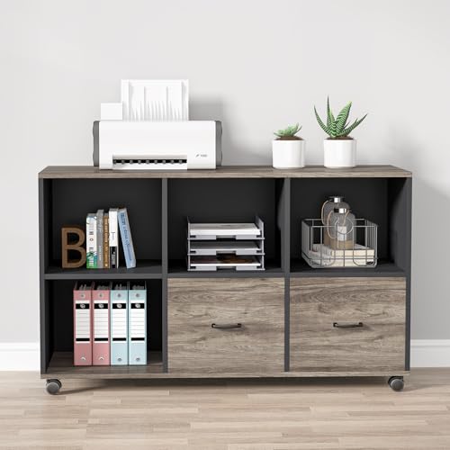 Tribesigns 63 inches Executive Desk and 47" lateral File Cabinet