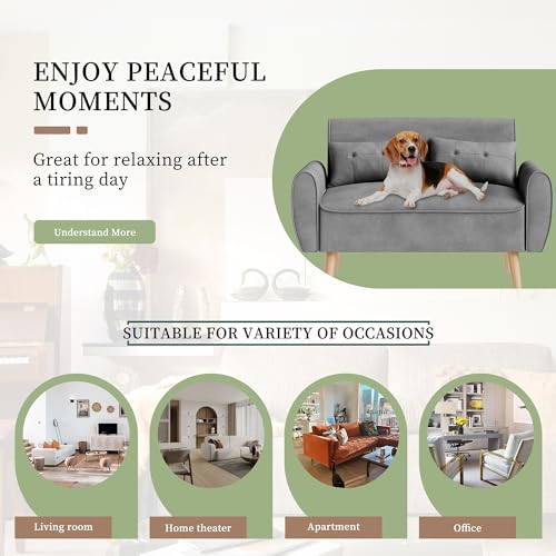 Vongrasig 47" Small Modern Loveseat Sofa