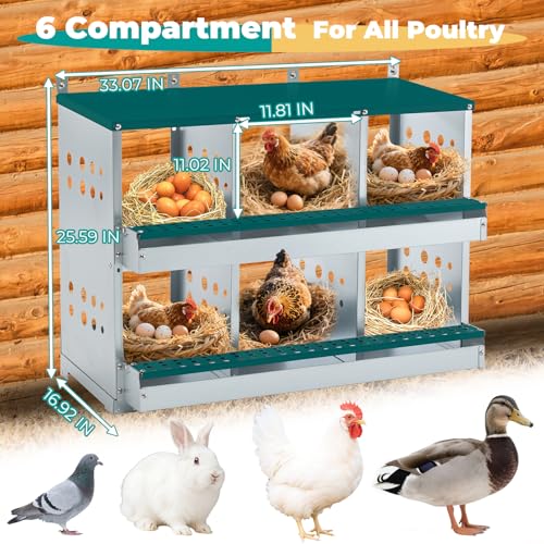Chicken Coop Nesting Boxes, Wall Mountable Metal Chicken Nesting Box, Easy Egg Collection Roll Away Nesting Boxes Chicken