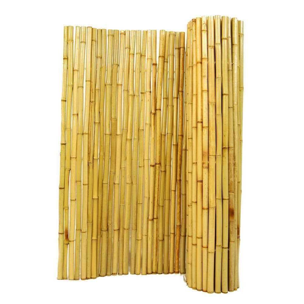 Backyard x-Scapes 6-ft x 6-ft Natural Tan Bamboo Fencing Rolled Fencing LW-DS-BFN66 - Shop Hardware Tools Online Store