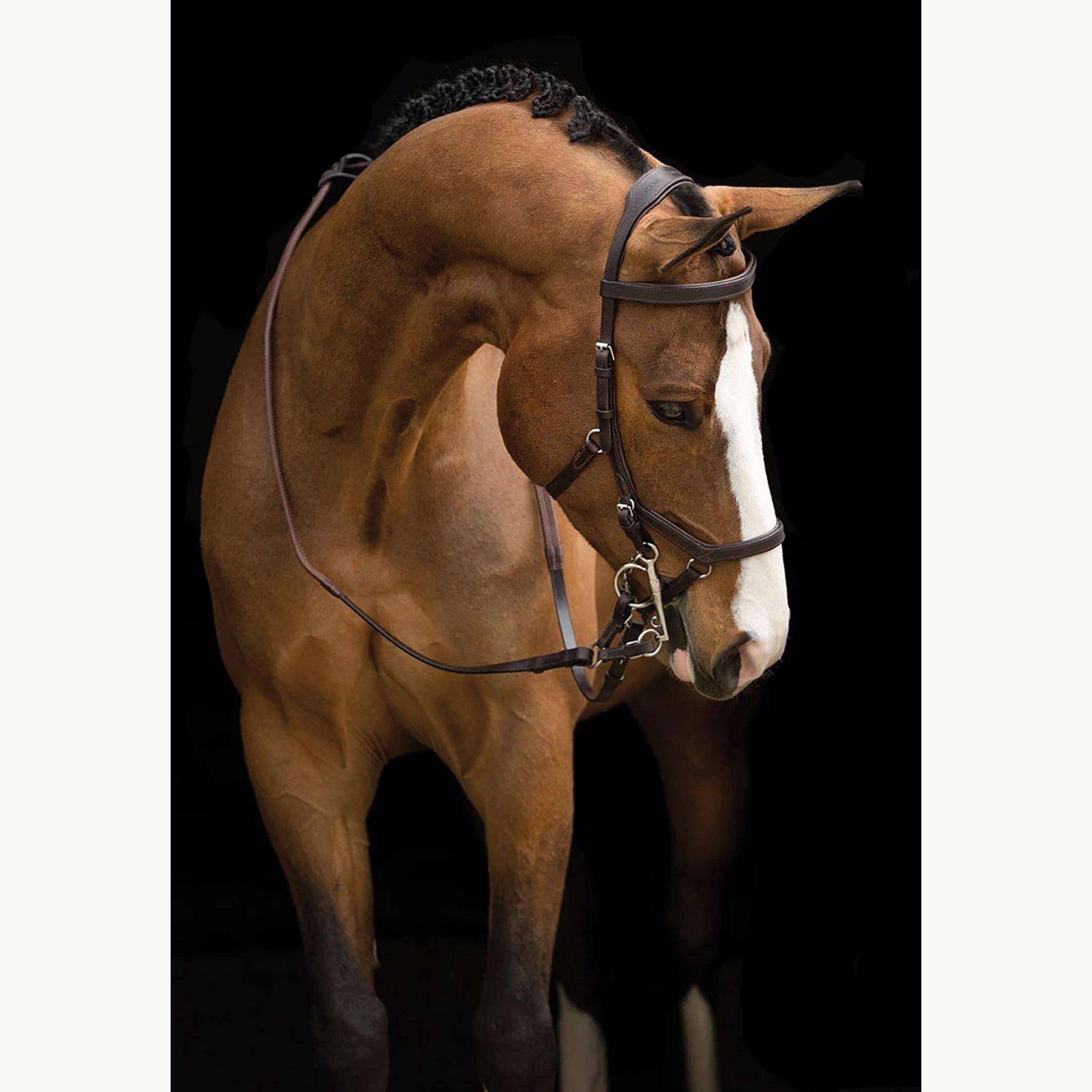 Micklem Competition Bridle