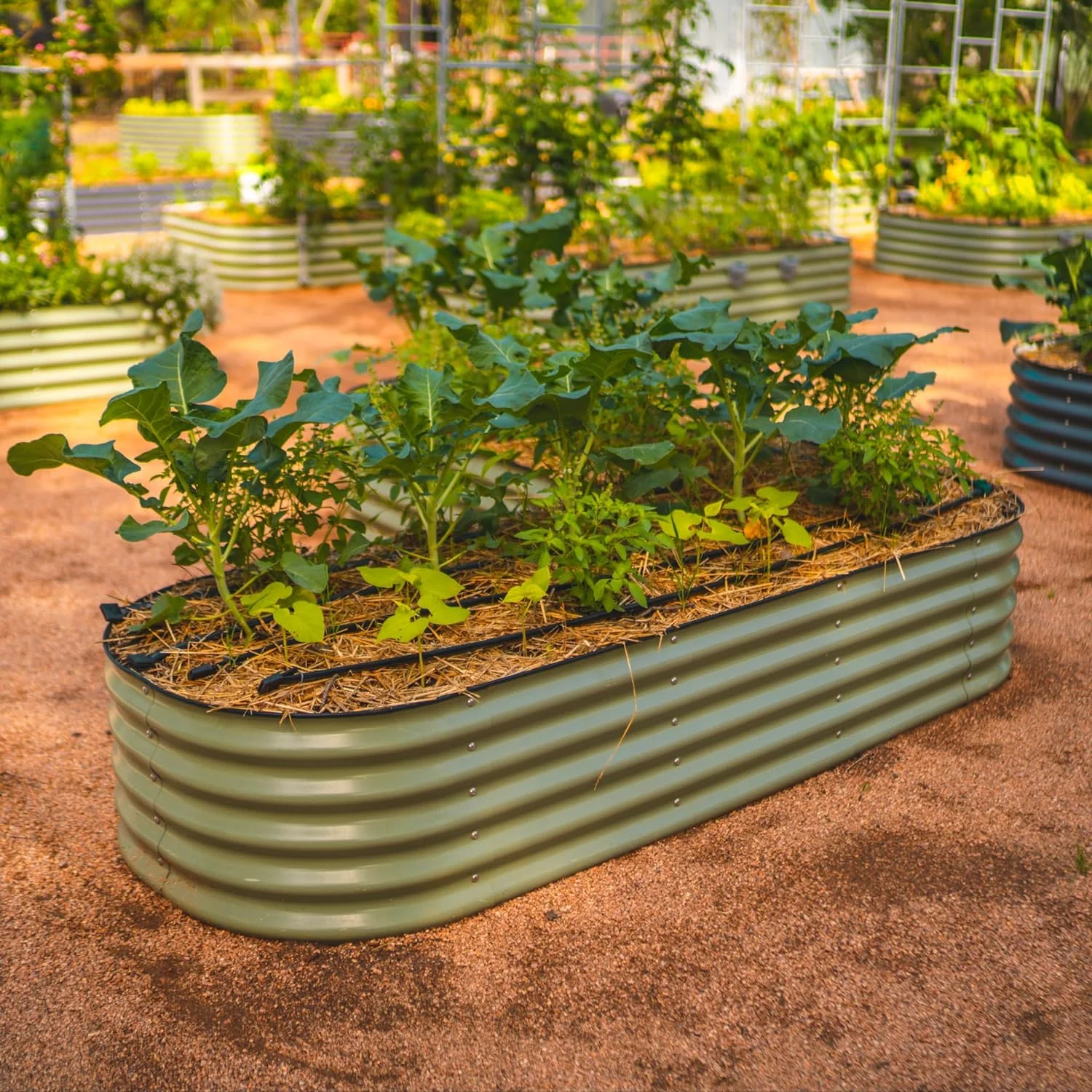 Vego Garden 17" Tall 6 in 1 Raised Gardening Bed Metal Outdoor Planter Olive Green