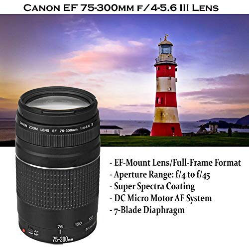 Canon EOS Rebel T7 DSLR Camera with 18-55mm is II Lens + Canon EF 75-300mm f/4-5.6 III Lens and 500mm Preset Lens + 32GB Memory + Filters + Monopod +