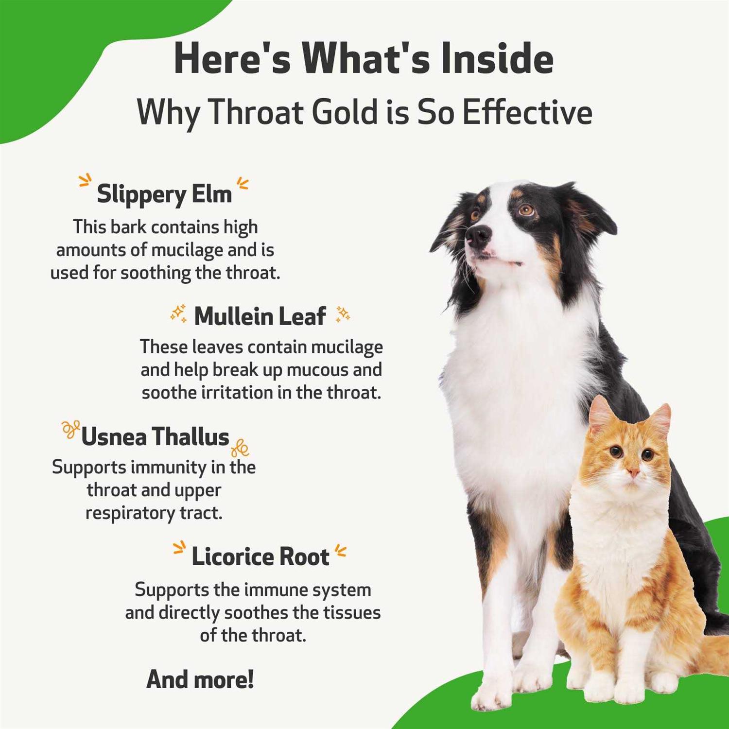 Pet Wellbeing Throat Gold for Dogs - Pet Supplies online store