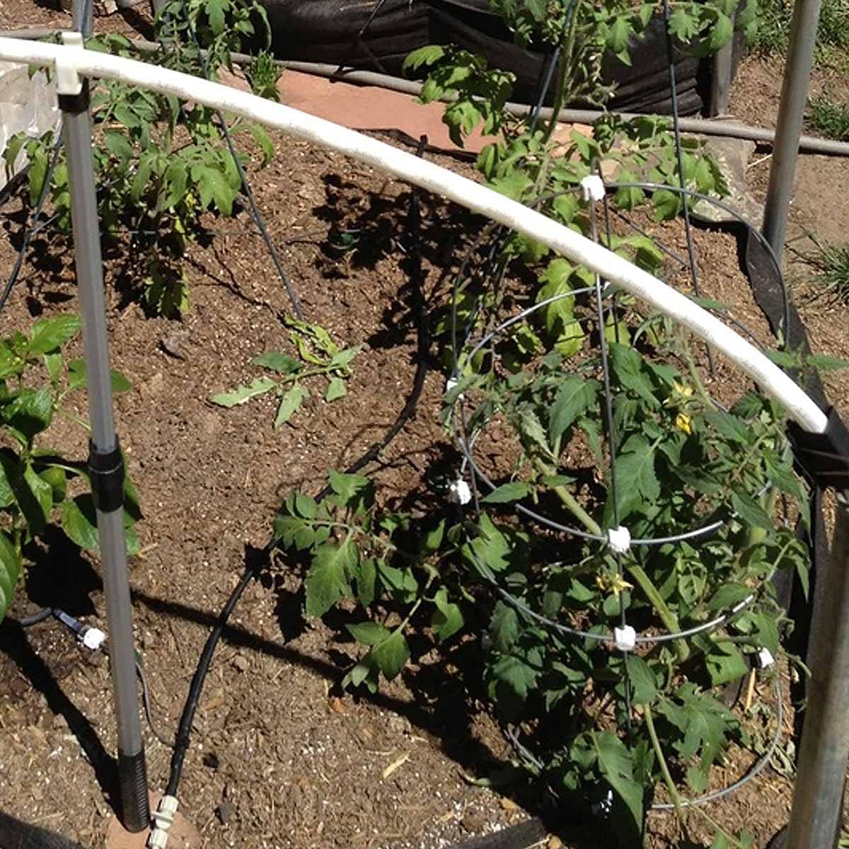 Blumat Drip System - 6 Pack Small Kit with Reservoir - Smart Automatic Watering System, Great for Vacation, Made in Austria