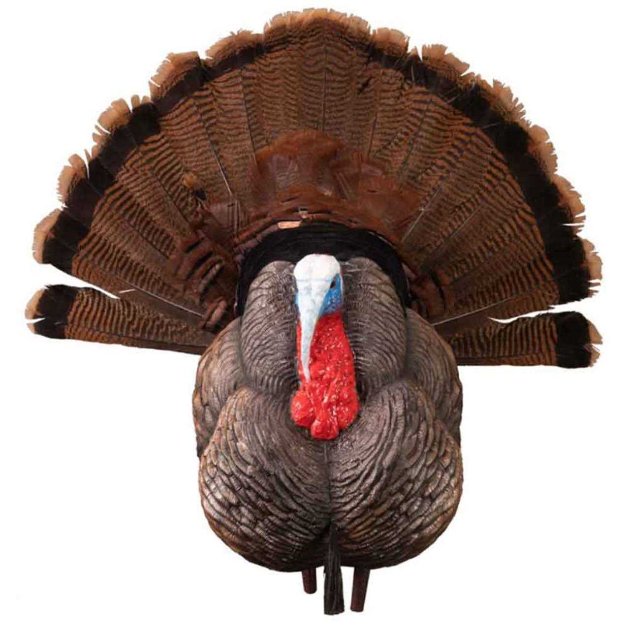 Higdon Outdoors Apex Strutter Hard Body Turkey Decoy - Sports Supplies Online Store