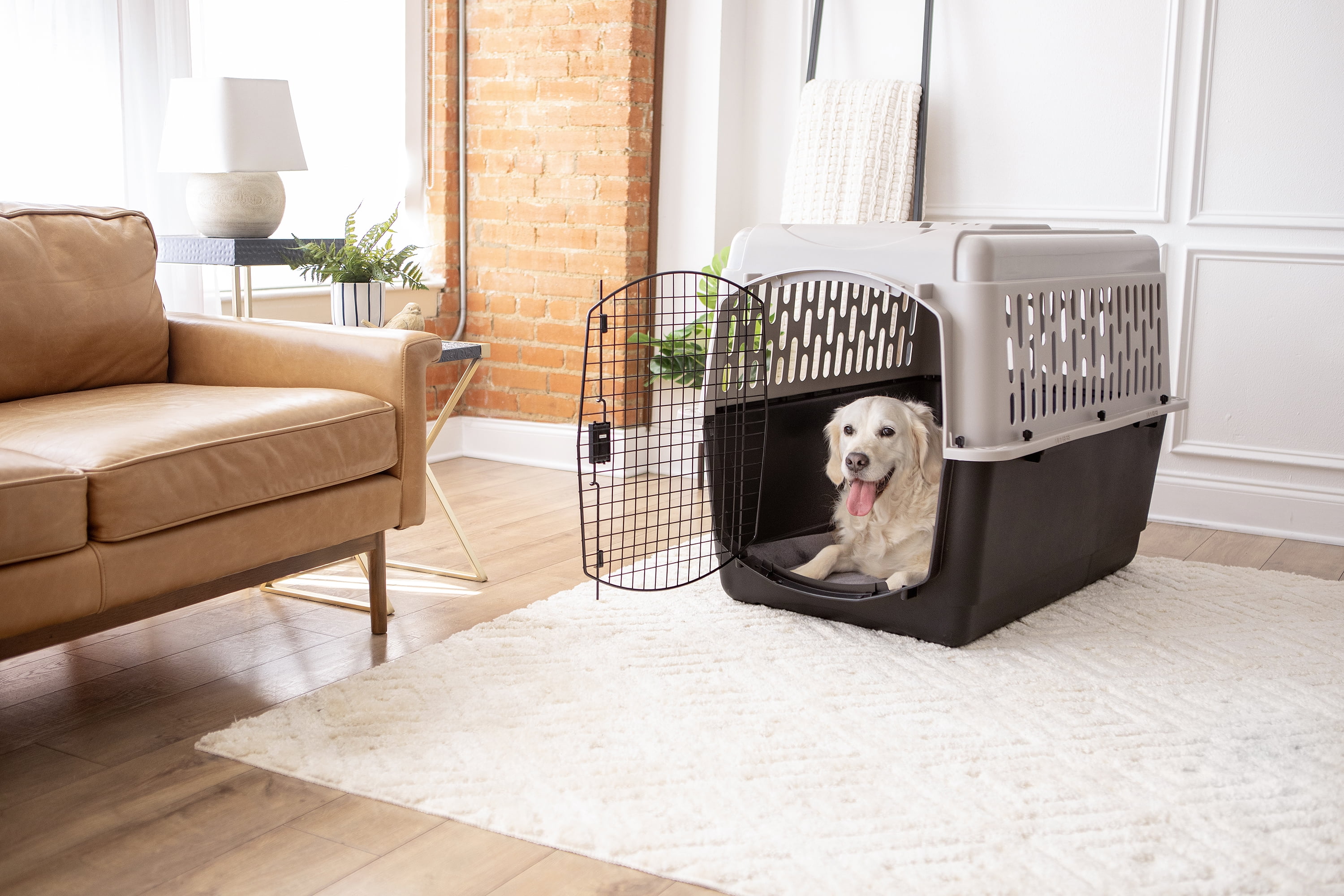 Vibrant Life Pet Kennel 19 X-Small Plastic Dog Crate Portable Carrier for Pets Up To 10 lbs