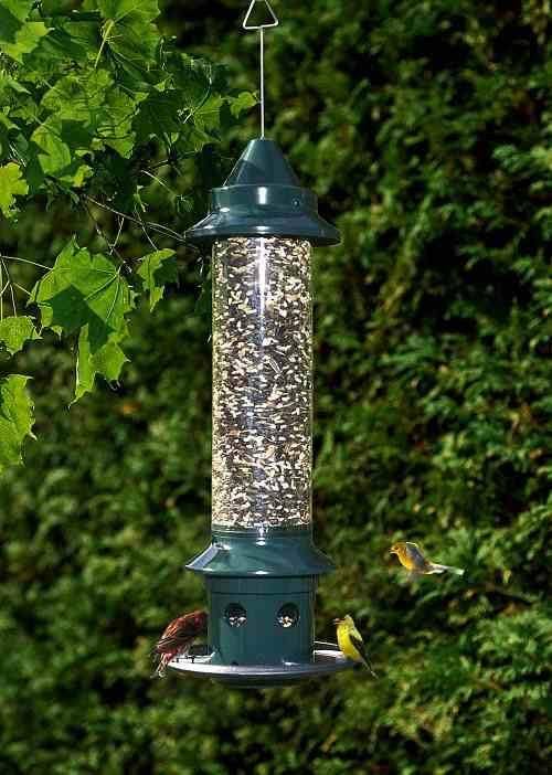 Brome Bird Care Squirrel Buster Plus Bird Feeder, Green