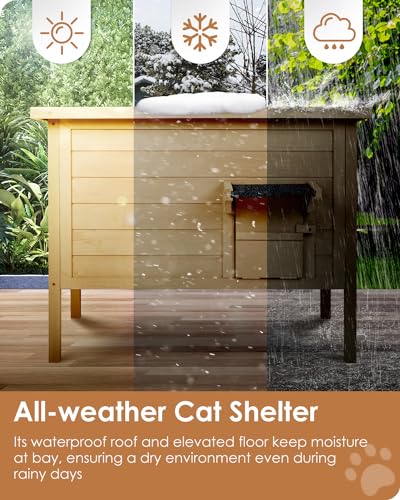 Ivy&Lane Outdoor-Cat-House | Insulated-Feral-Cat-Shelter | Weatherproof | for Winter | Foam & Wood | Large | for Multiple Cats | Fold-up Stair |