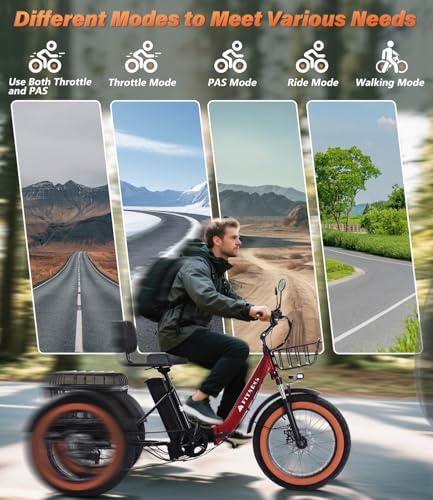 Adult Electric Tricycle Adult Tricycle 3 Wheel Bikes Adults Electric Three Wheel Bike - Radiant Selections