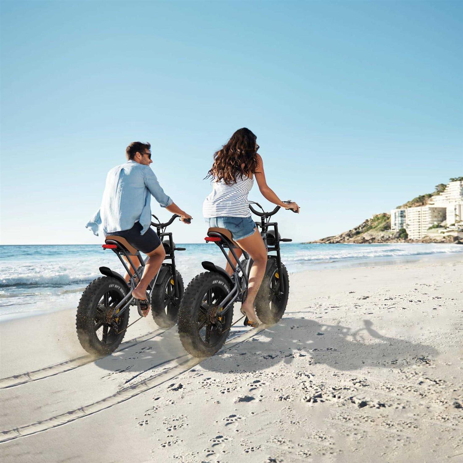 JANSNO Electric Bike for Adults 20 x 4.0 Fat Tire Electric Bicycle with 750W Motor, 48V/14Ah Removable Battery and Dual Shock Absorber