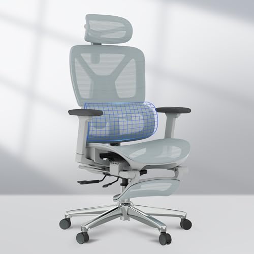FLEXISPOT ErgoX Premium Ergonomic Office Chair with Footrest- Adjustable 3D Armrests, Dynamic Lumbar Support, Recline & Tilt Function, Mesh Seat