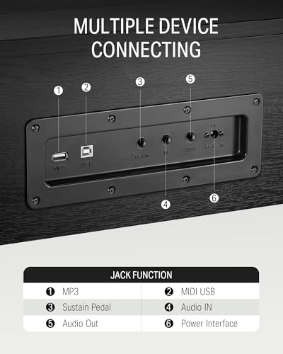 Donner DDP-90 Digital Piano, 88 Key Weighted Piano Keyboard for Beginner/Professional W/Three Pedals, Supports U-disk Music Playing