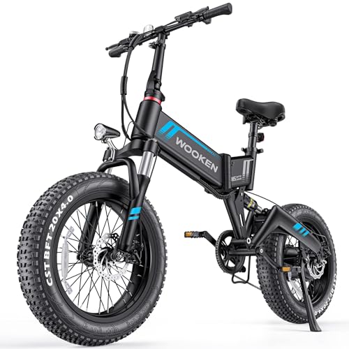 Wooken Electric Bike, 20''X4.0 Fat Tire Electric Bike for Adults,500W(Peak 750W) Foldable Electric Bike with 48V 10Ah Battery,Professional 7 Speed