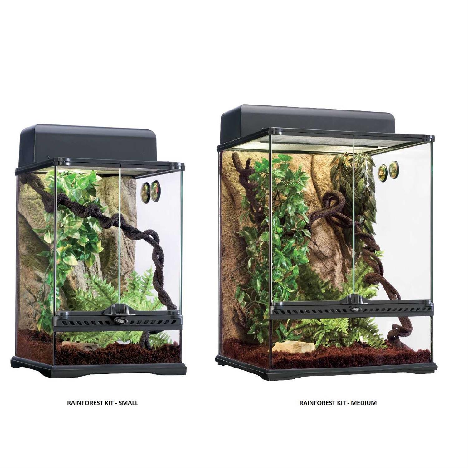 Exo Terra Rainforest Habitat Kit - Pet Supplies online store