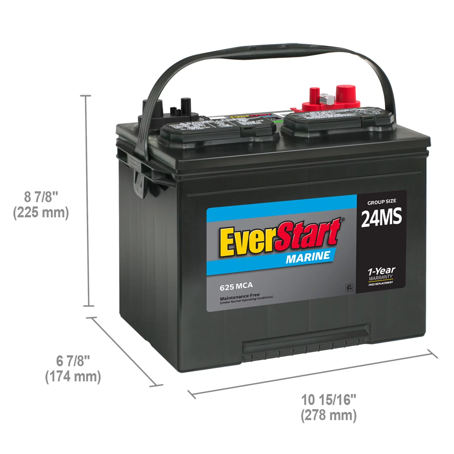 EverStart Lead Acid Marine Starting Battery, Group Size 24MS 12 Volt, 1000 MCA