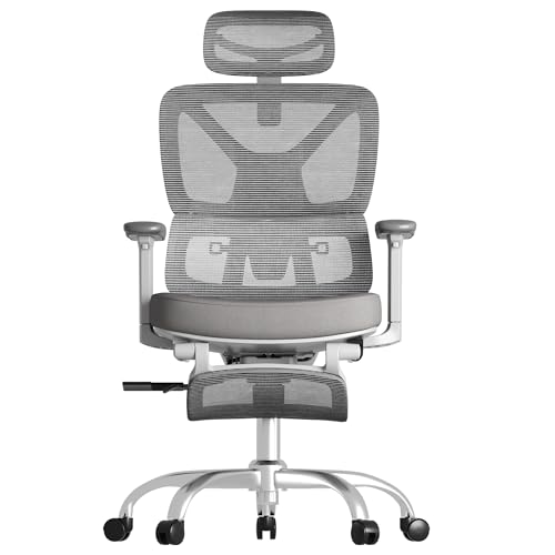 FLEXISPOT ErgoX Premium Ergonomic Office Chair with Footrest- Adjustable 3D Armrests, Dynamic Lumbar Support, Recline & Tilt Function, Mesh Seat