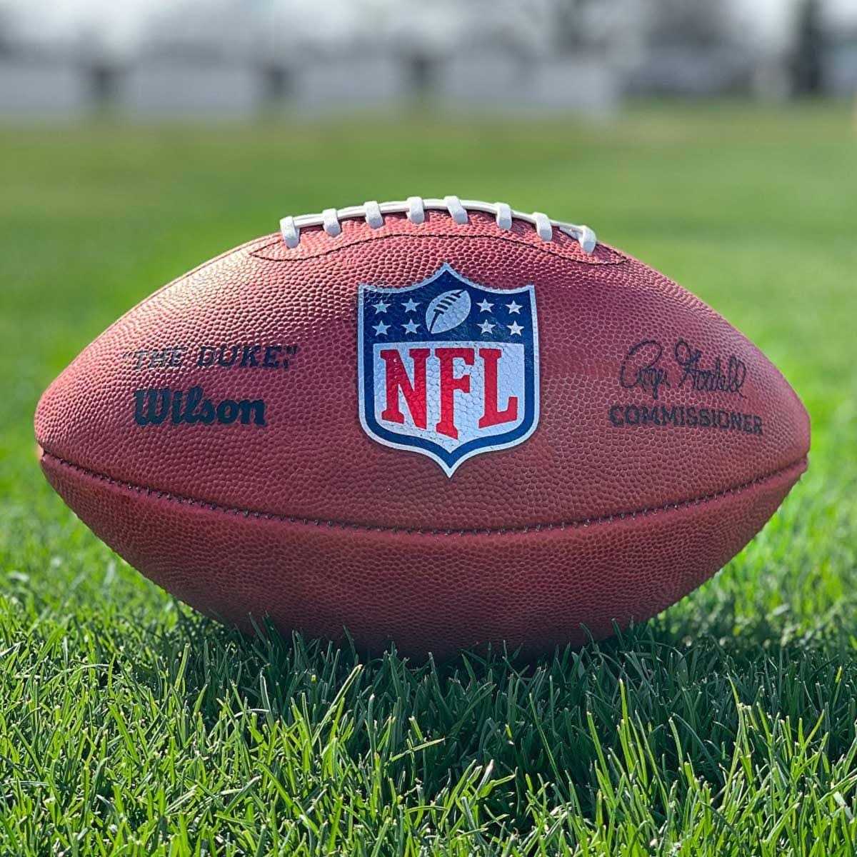 Wilson The Duke Official NFL Game Football - Sports Supplies Online Store