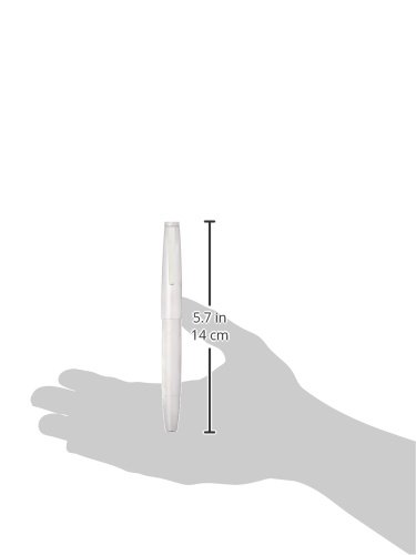 Lamy 2000 Fountain Pen