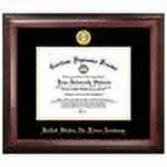 United States Air Force Academy Gold Embossed Diploma Frame
