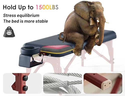 CLORIS 84" Professional Massage Table Portable 2 Folding Lightweight Facial Solon Spa Tattoo Bed Height Adjustable with Carrying Bag & Aluminium Leg