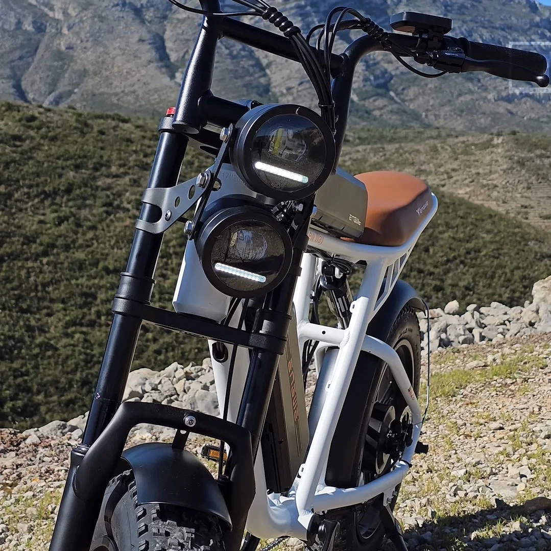 ENGWE Electric Bike 750W 20" Fat Tire Electric Bicycle, with 48V/26Ah Battery, 28MPH, 7-Speed E-Bikes for Men