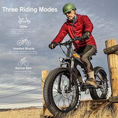 TotGuard Electric Bike,26" x4.0 Fat Tire Electric Bike with 975W Peak Motor,48V 10.4Ah Removable Battery, 21.6MPH Foldable Mountain Ebike