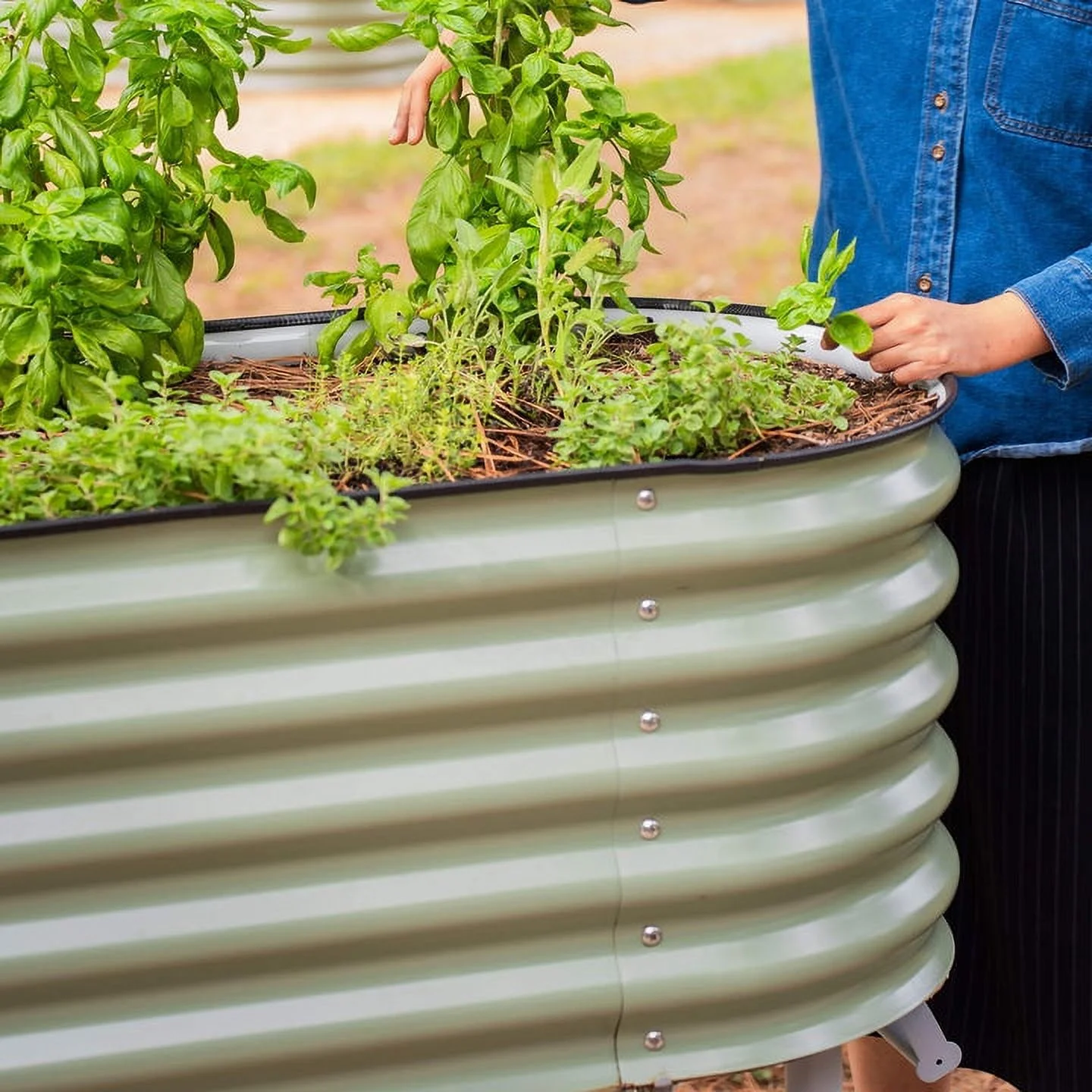 Vego Garden 2 x 6 ft Elevated Self-Watering Rolling Planter Raised Garden Bed Kits-Pearl White