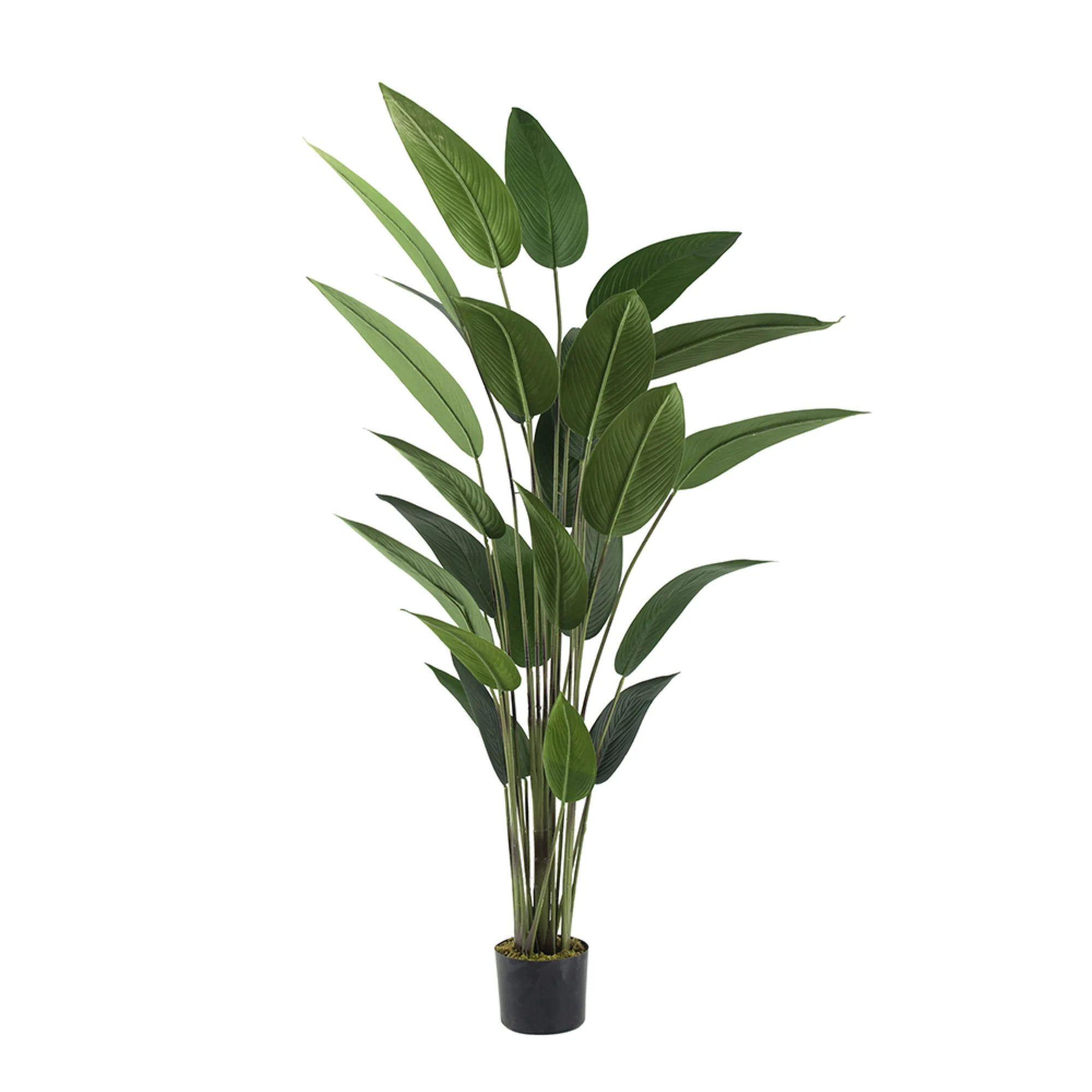 CC Home Furnishings Bird of Paradise Artificial Potted Tree - 6'