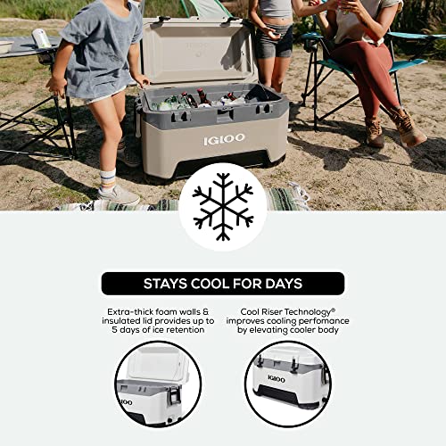 Igloo BMX Hard Coolers (25-72QT)