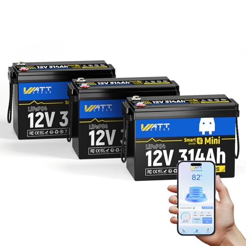 12V 314Ah Mini LiFePO4 Lithium Battery with Bluetooth 5.0, 200A BMS, 4.01kWh Energy, Upgraded Aluminum Cooling Fins & Braided Copper Wires, for RV