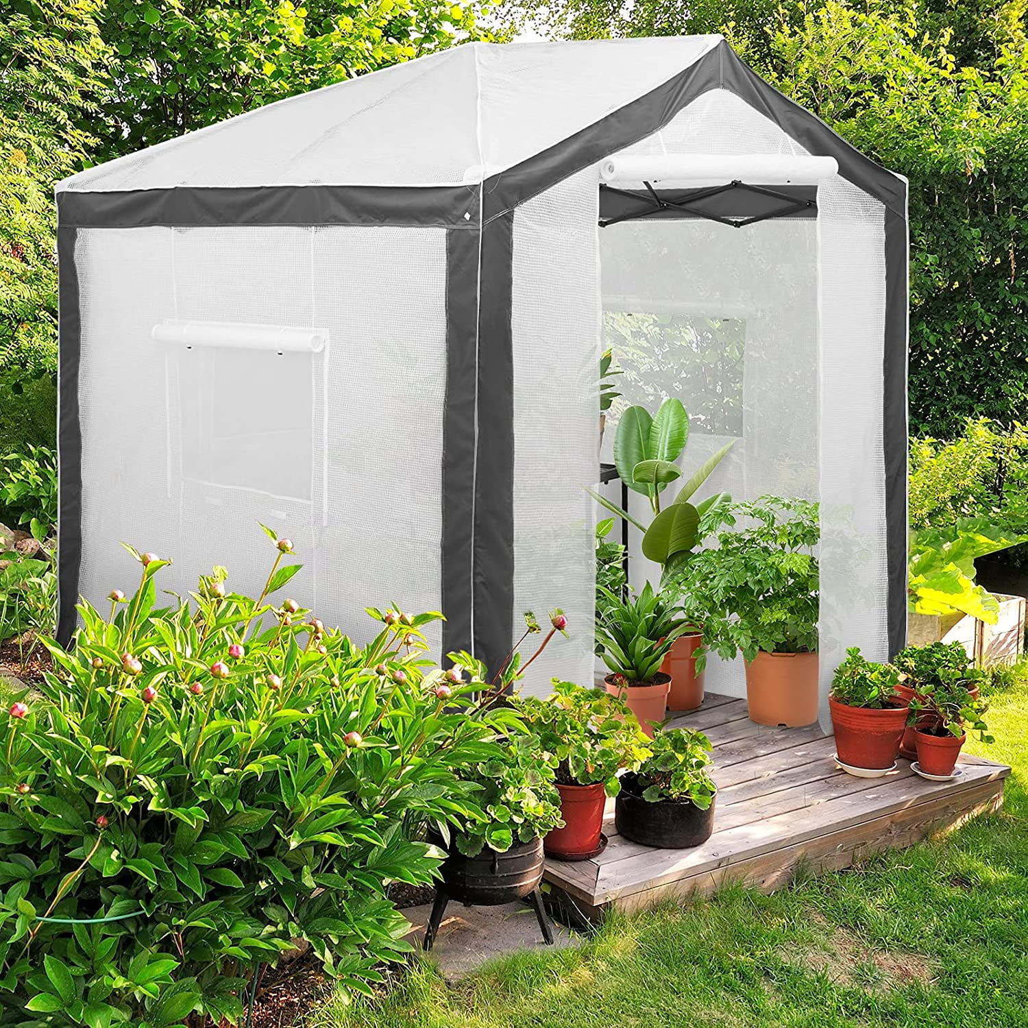 EAGLE PEAK 8 ' x 8 ' Portable Walk-in Greenhouse with Roll-up Zipper Entry Door and 3 Large Roll-Up Screen Windows