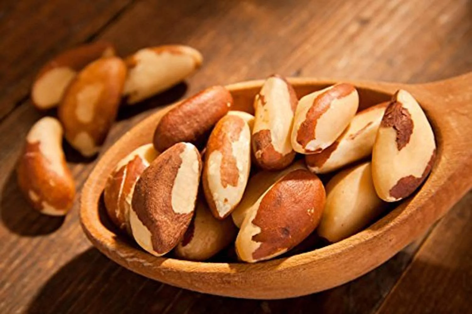 Dry Roasted Brazil Nuts Salted (25 Lbs.) | Farm Fresh Nuts Brand